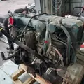 INTERNATIONAL DT466 EGR Engine Assembly thumbnail 28