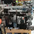 INTERNATIONAL DT466 EGR Engine Assembly thumbnail 14