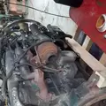 INTERNATIONAL DT466 EGR Engine Assembly thumbnail 12