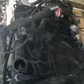 INTERNATIONAL DT466 EGR Engine Assembly thumbnail 7