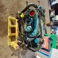 INTERNATIONAL DT466 EGR Engine Assembly thumbnail 19