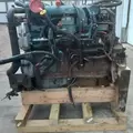 INTERNATIONAL DT466 EGR Engine Assembly thumbnail 14