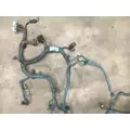 INTERNATIONAL DT466 EGR Engine Wiring Harness thumbnail 4