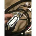 INTERNATIONAL DT466E (EGR) Engine Wiring Harness thumbnail 14