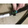 INTERNATIONAL DT466E (EGR) Engine Wiring Harness thumbnail 3