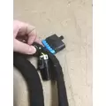 INTERNATIONAL DT466E (EGR) Engine Wiring Harness thumbnail 7