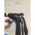 INTERNATIONAL DT466E (EGR) Engine Wiring Harness thumbnail 8