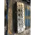 INTERNATIONAL DT466E   CYLINDER HEAD thumbnail 1