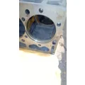 INTERNATIONAL DT466E EPA 96 Cylinder Block thumbnail 6