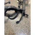 INTERNATIONAL DT466E Maxxforce Engine Assembly thumbnail 6