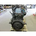 INTERNATIONAL DT466E Engine Assembly thumbnail 4