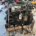 INTERNATIONAL DT466E Engine Assembly thumbnail 9