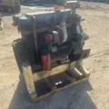 INTERNATIONAL DT466E Engine Assembly thumbnail 5