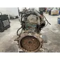 INTERNATIONAL DT466M Engine Assembly thumbnail 7