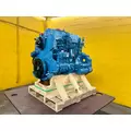 INTERNATIONAL DT466 Engine Assembly thumbnail 10