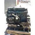 INTERNATIONAL DT466 Starter Motor thumbnail 3