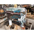 INTERNATIONAL DT530E (ELECTRONIC) ENGINE ASSEMBLY thumbnail 2