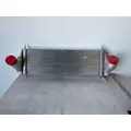 INTERNATIONAL Durastar 4100 Charge Air Cooler (ATAAC) thumbnail 1