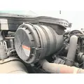 INTERNATIONAL Durastar Air Cleaner thumbnail 2