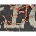 INTERNATIONAL Durastar Engine Wiring Harness thumbnail 3
