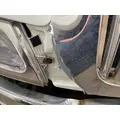 INTERNATIONAL Durastar Grille thumbnail 3