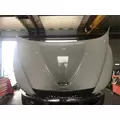 INTERNATIONAL Durastar Hood thumbnail 6