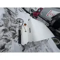 INTERNATIONAL F-5070 Hood thumbnail 20