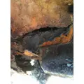 INTERNATIONAL F2574 CAB thumbnail 4