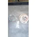 INTERNATIONAL HV Body Wiring Harness thumbnail 1