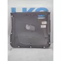 INTERNATIONAL HV Door Panel (Trim) thumbnail 5