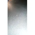 INTERNATIONAL HX620 Sleeper thumbnail 3