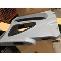 INTERNATIONAL International  Door Panel (Trim) thumbnail 2
