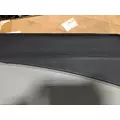 INTERNATIONAL International  Door Panel (Trim) thumbnail 2