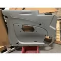 INTERNATIONAL International  Door Panel (Trim) thumbnail 1