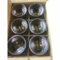 INTERNATIONAL International  Engine Reman Kit thumbnail 1