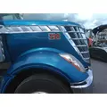 INTERNATIONAL LONESTAR 2008-2024 HOOD thumbnail 3