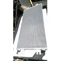 INTERNATIONAL LONESTAR Door Panel (Trim) thumbnail 1