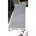 INTERNATIONAL LONESTAR Door Panel (Trim) thumbnail 2