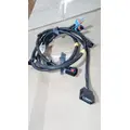 INTERNATIONAL LONESTAR Lamp Wiring Harness thumbnail 1
