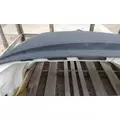 INTERNATIONAL LT 2017-2025 HOOD thumbnail 4
