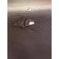 INTERNATIONAL LT625 Door Assembly, Front thumbnail 13