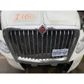 INTERNATIONAL LT625 Hood thumbnail 10