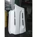 INTERNATIONAL LT CAB SKIRTSIDE FAIRING thumbnail 1