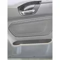 INTERNATIONAL LT Door Panel (Trim) thumbnail 4