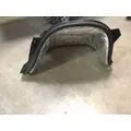 INTERNATIONAL LT Door Panel (Trim) thumbnail 3