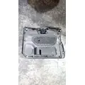 INTERNATIONAL LT Door Panel (Trim) thumbnail 2