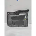 INTERNATIONAL LT Door Panel (Trim) thumbnail 6