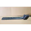 INTERNATIONAL LT Door Panel (Trim) thumbnail 1