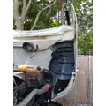 INTERNATIONAL LT HOOD thumbnail 5
