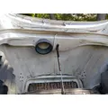 INTERNATIONAL LT HOOD thumbnail 8
